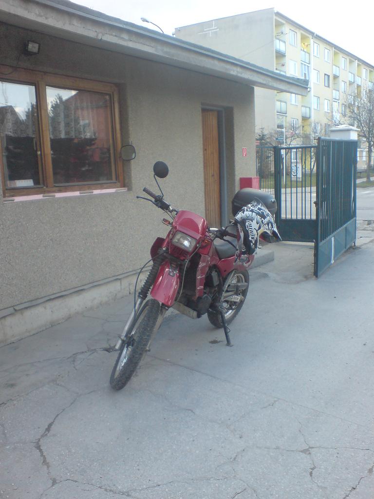 DSC00253.JPG